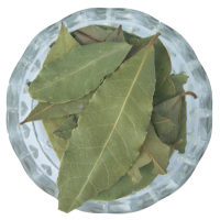 Bay Leaf